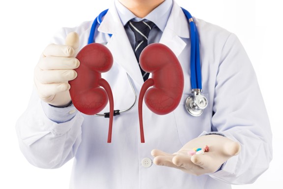 Kidney Function Check